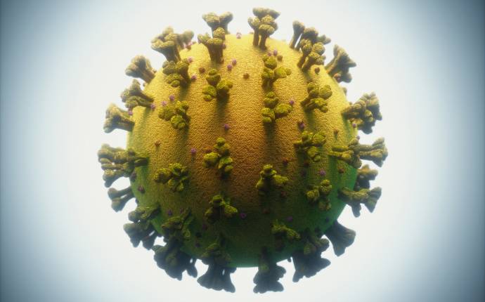 covid 19 coronavirus infections viruses