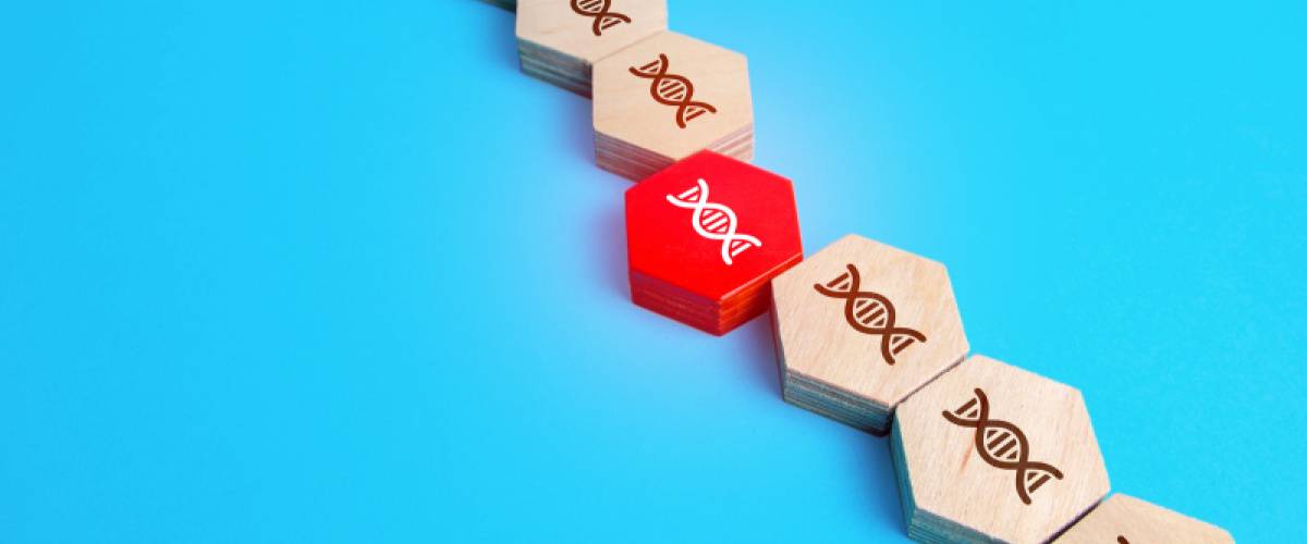 DNA, mutationer, cancer och cancerceller