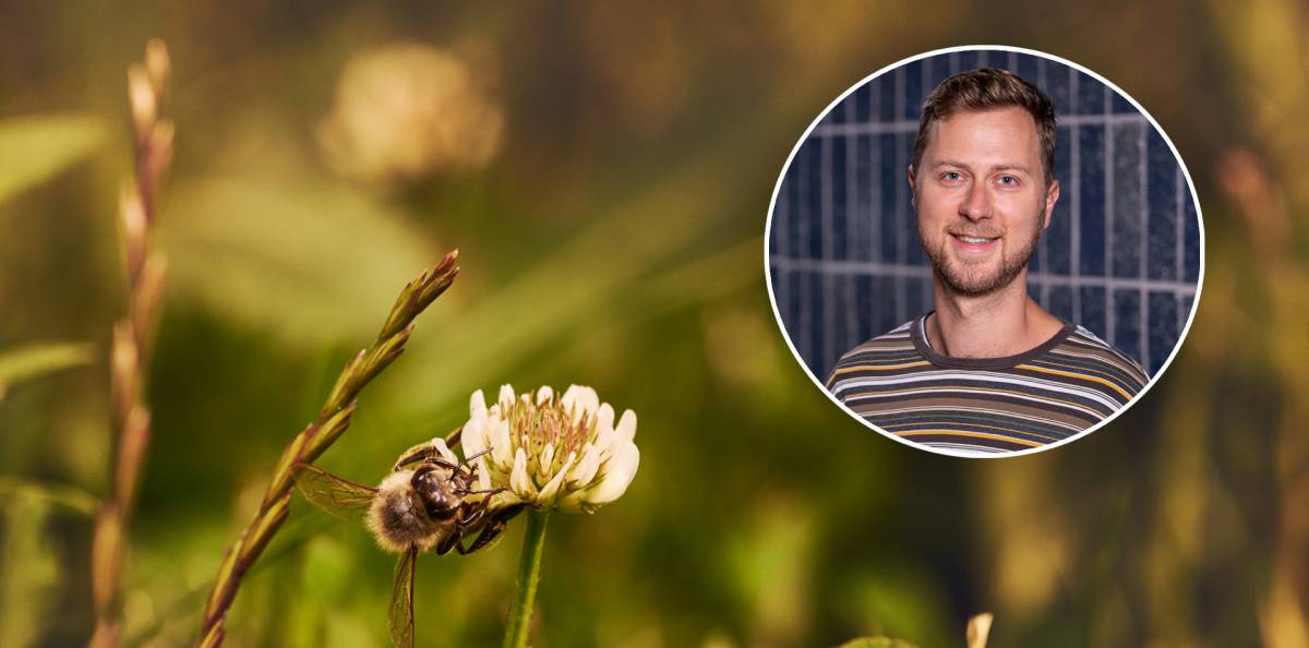 Remy chatt om pollenallergi