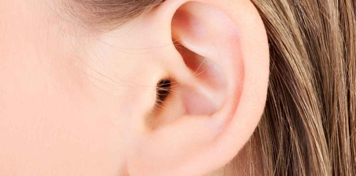 Ny upptäckt i örat ger hopp för personer med hörselskador