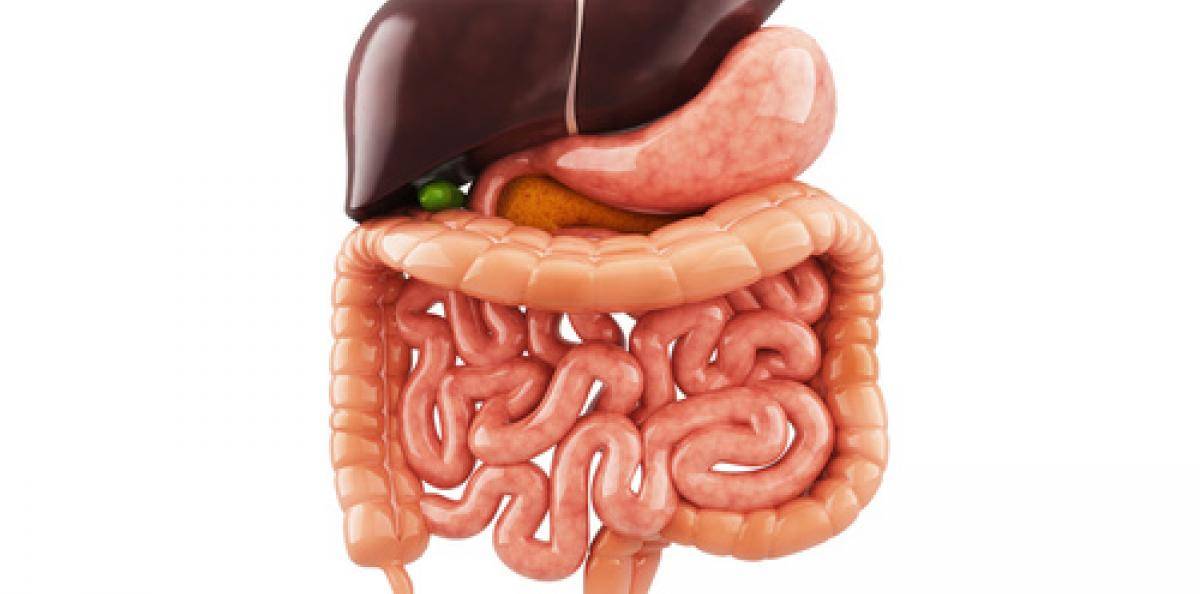 Ulcerös kolit (blödande tjocktarmsinflammation, IBD)