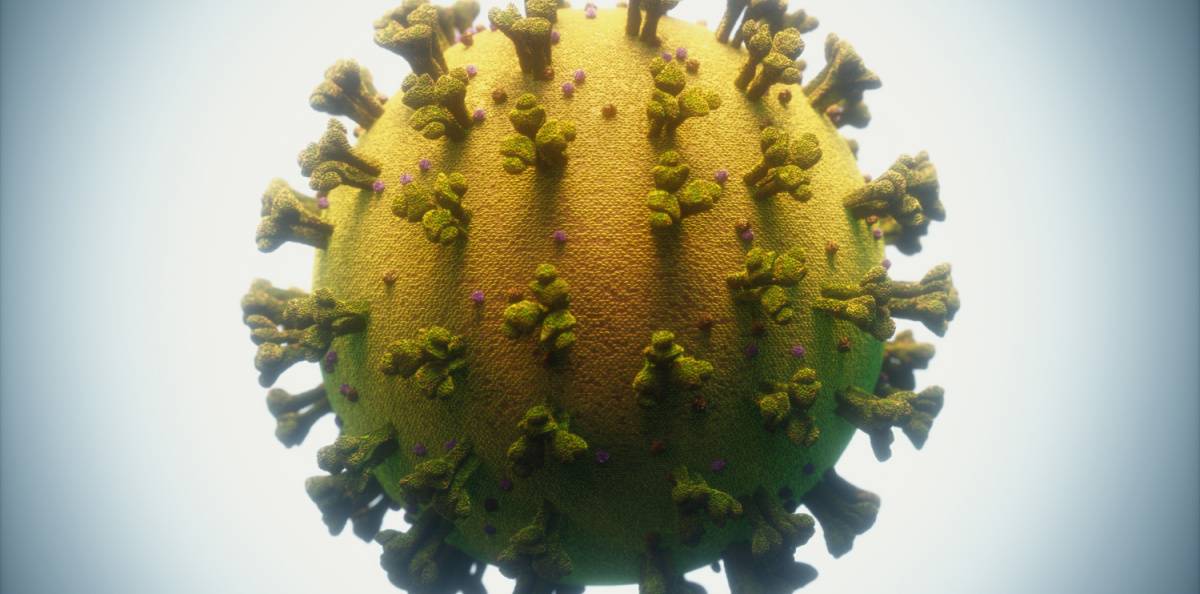 covid 19 coronavirus infections viruses